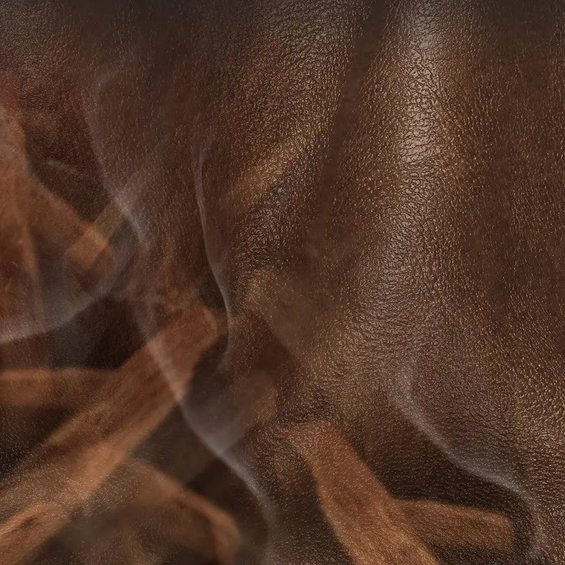 Vranjes profumatore d'ambiente "Collezione"  Diffusore.LEATHER OUD