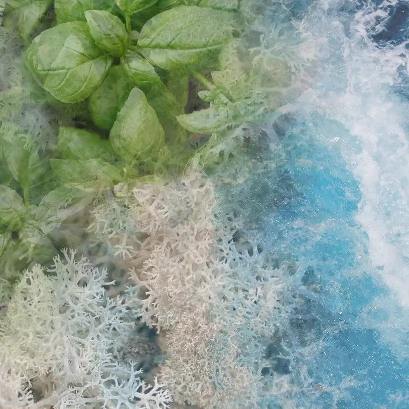 Vranjes ricarica profumatore d'ambiente "Tradizionali"  Refill.ACQUA