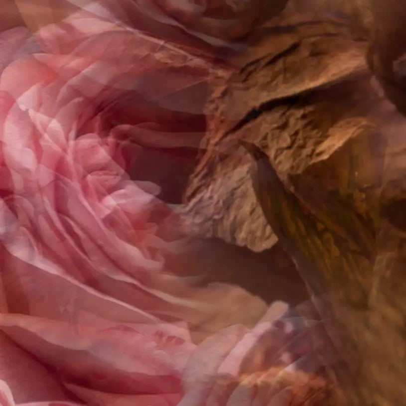 Vranjes ricarica profumatore d'ambiente "Tradizionali"  Refill.ROSA TABACCO